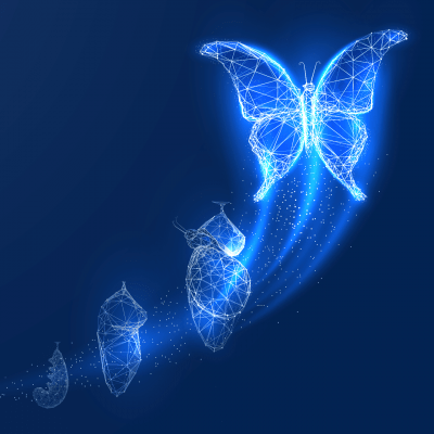 Digital butterfly-min