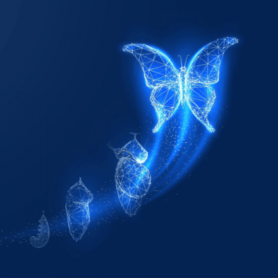 digital butterfly 2